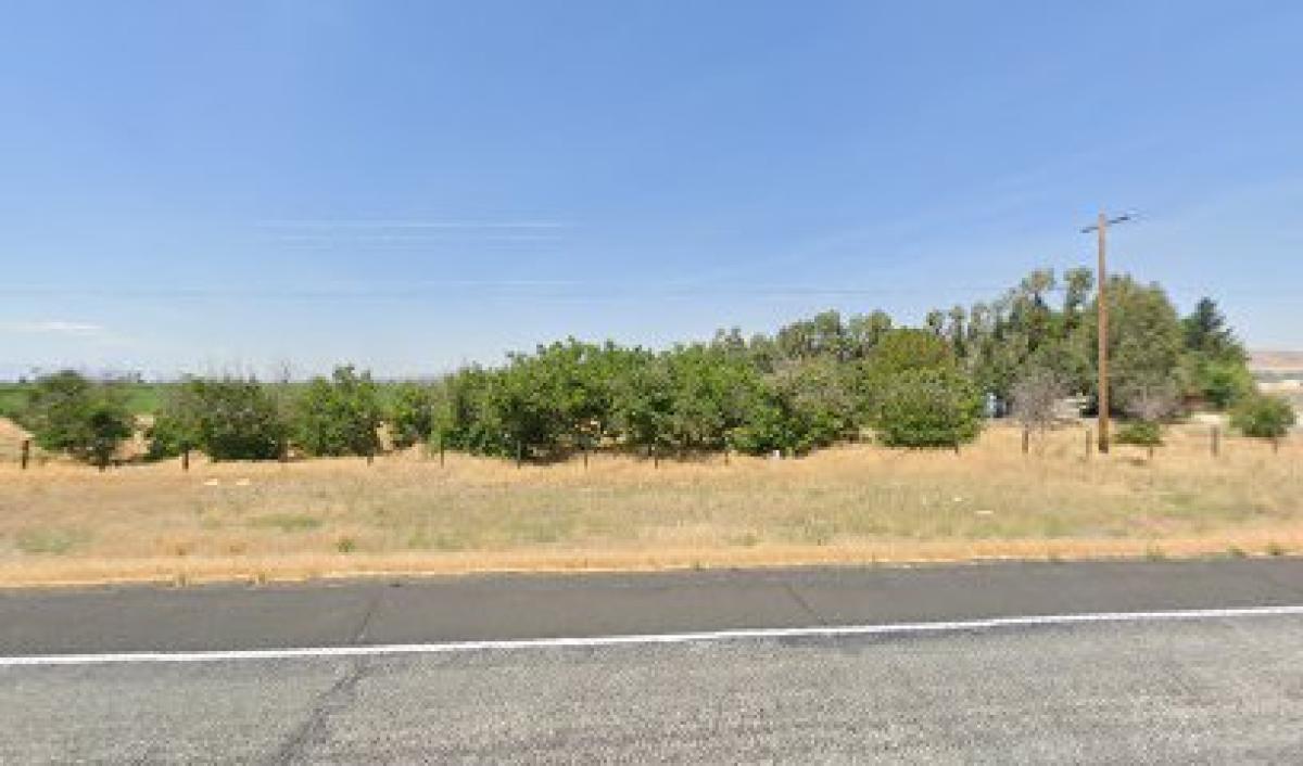 Columbia Pollination