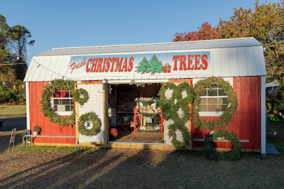 Dreaming Farms Pumpkin Patch & Christmas Trees