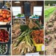Fernbrook Farms CSA