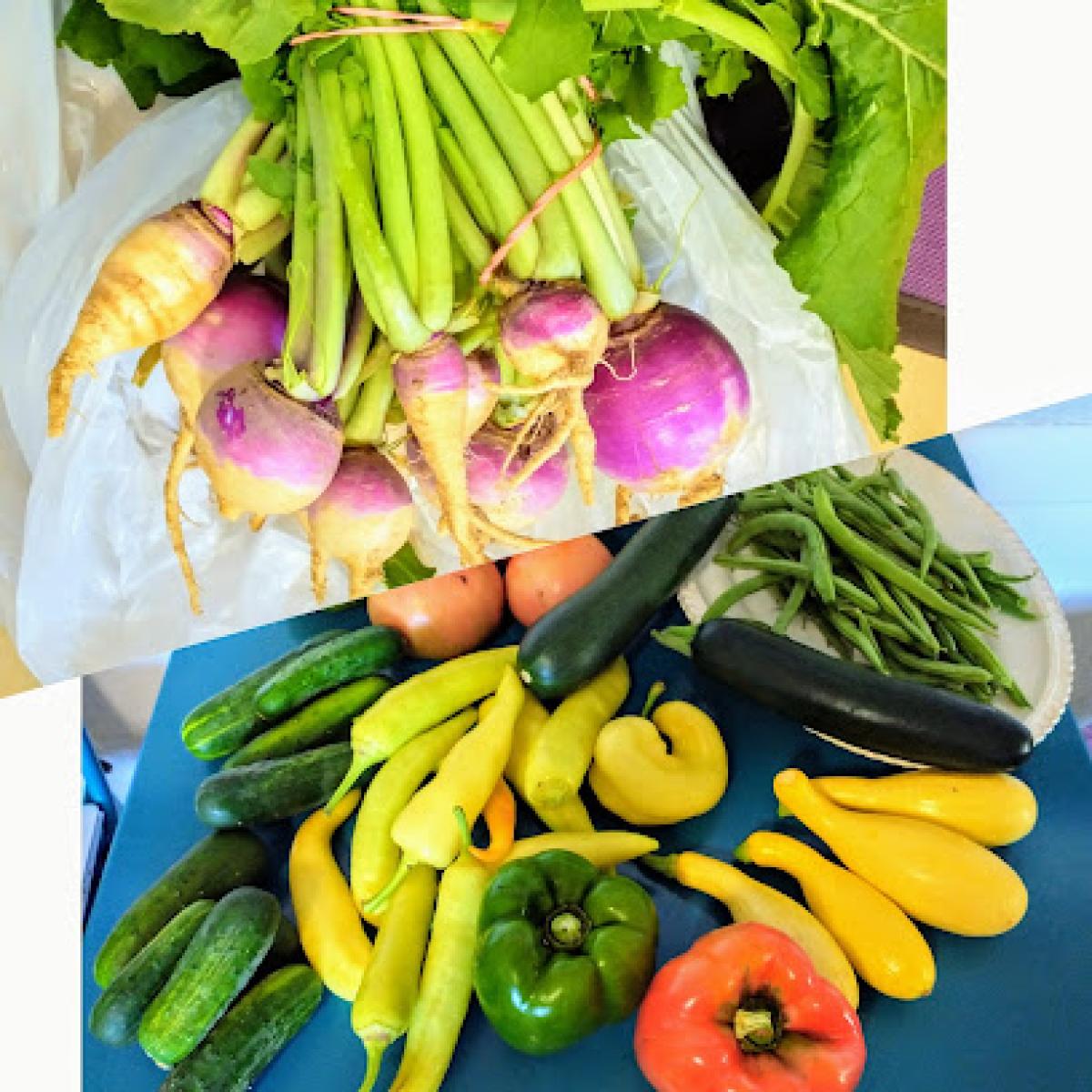 Downtown Dalton Farmers Market