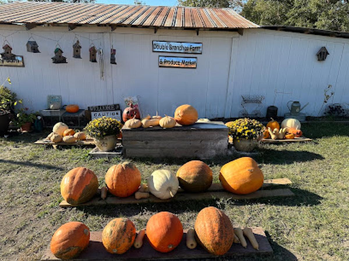 Double Branches Farm