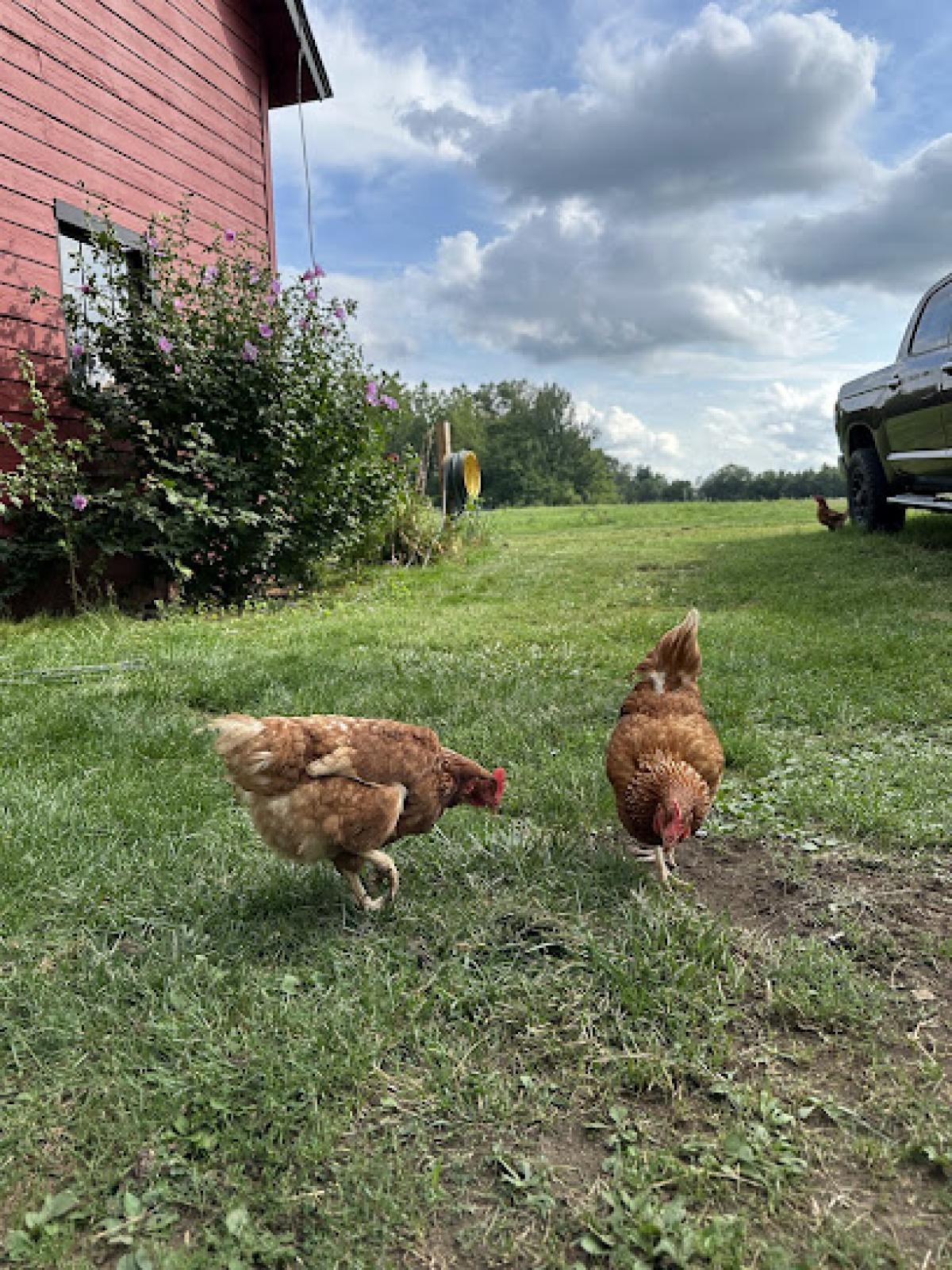Honey Hound Orchards