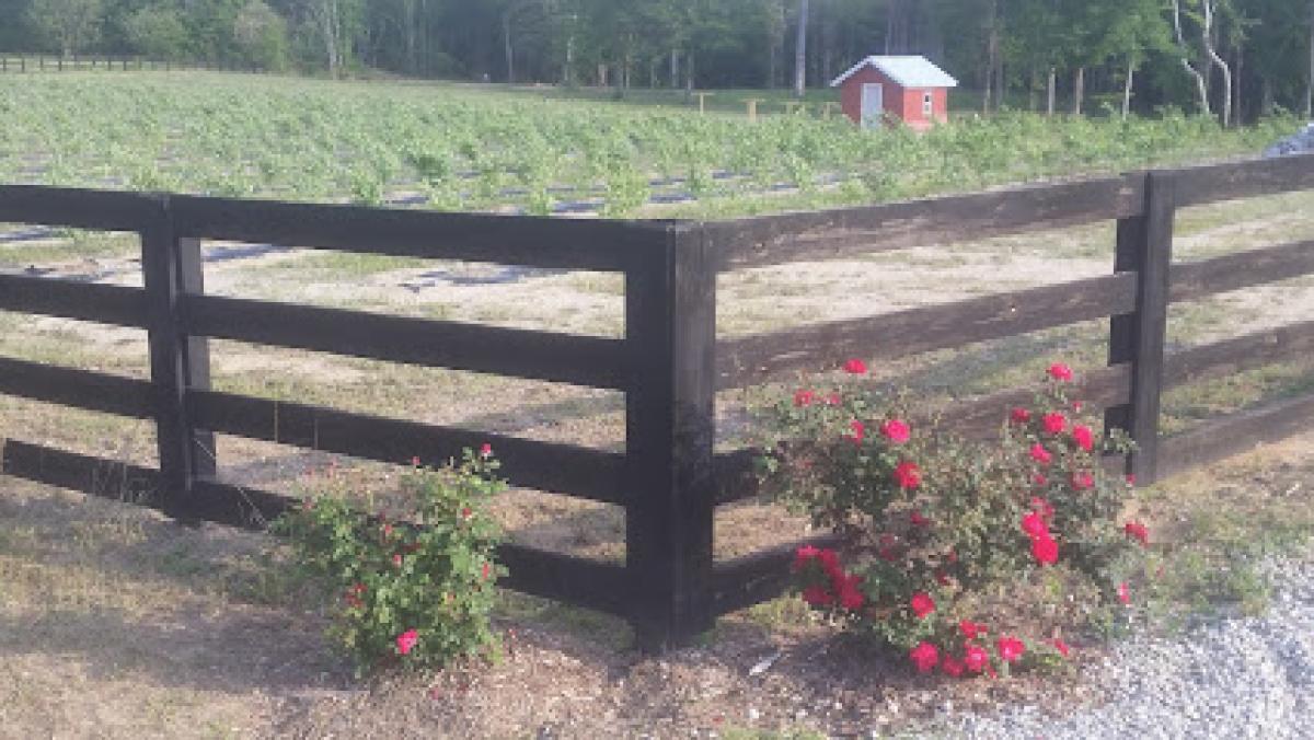 HEMI Blueberry Farm (By Appointment Only)