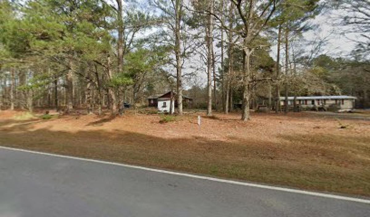 Bearded Bee Honey Farm