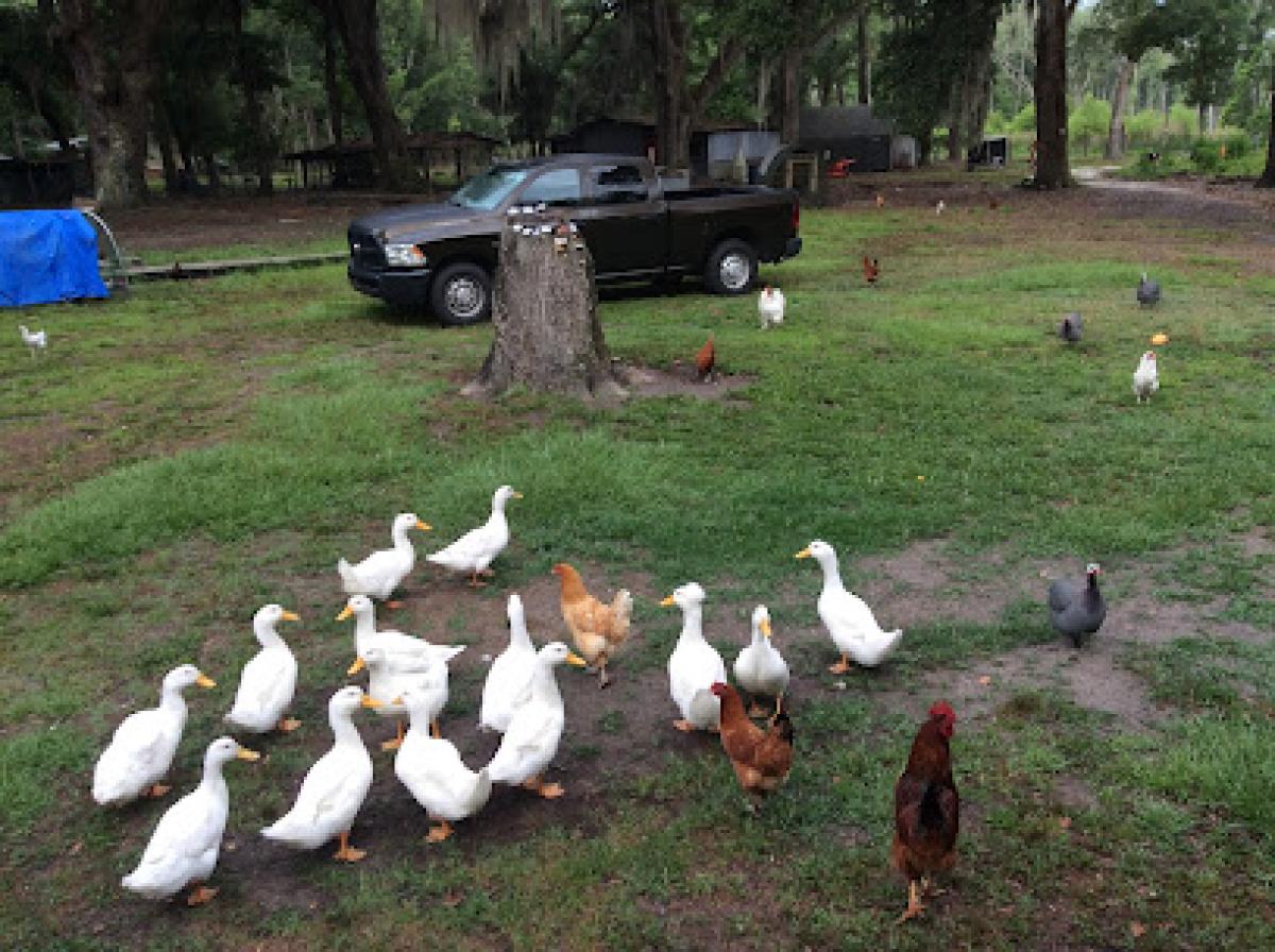 Seven Oaks Coastal Farm