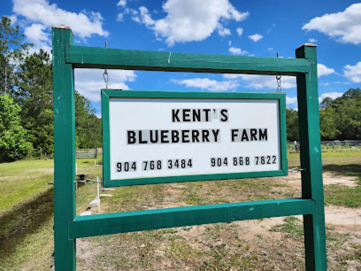 Kent's Blueberry Farm