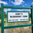 Kent's Blueberry Farm
