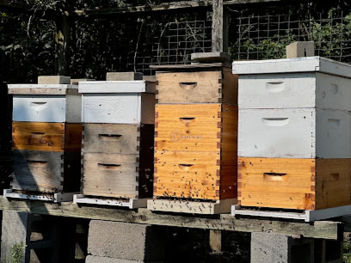 Turkey Hill Apiary