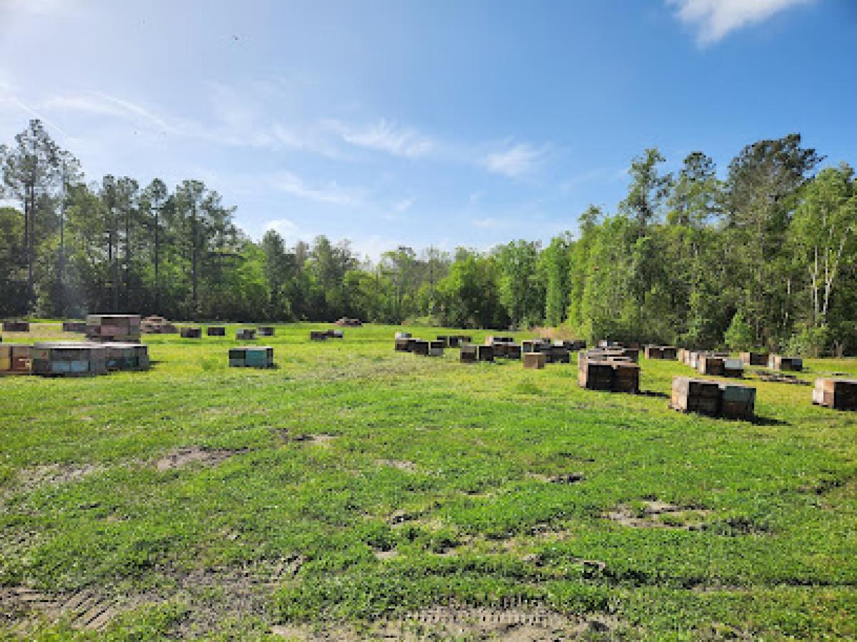 Miss BEE Haven Apiary