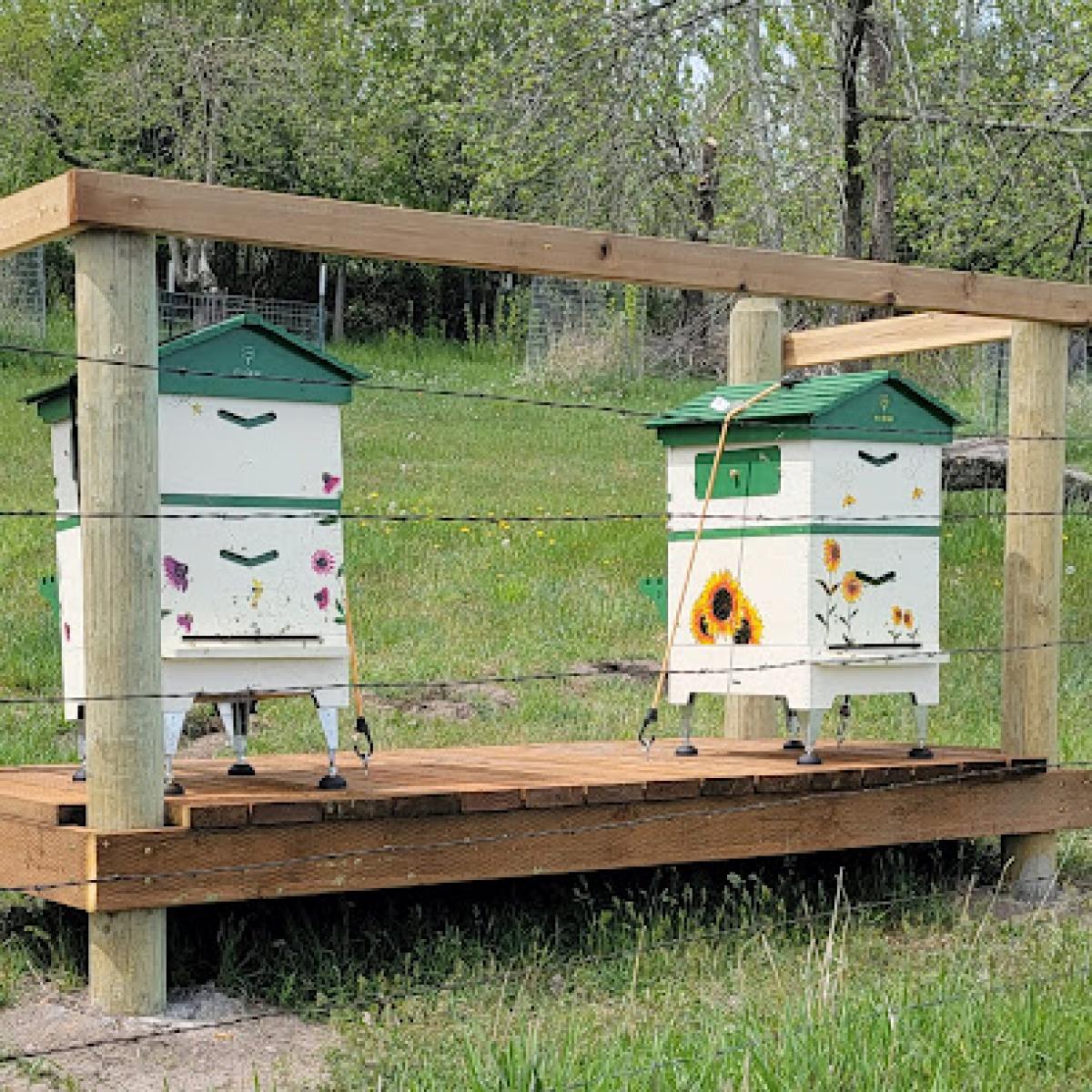 Homesteading Up North