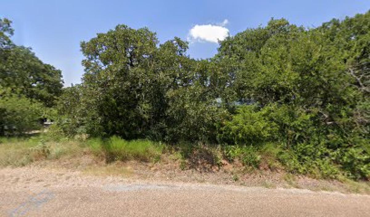 Nature's Nectar Raw Honey