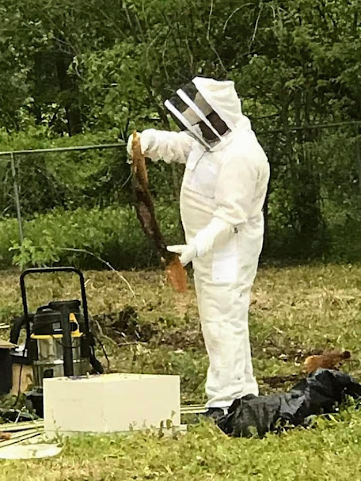 Queen B Apiaries