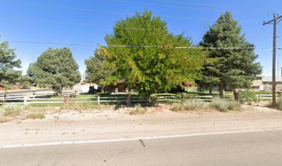 Leroy Neal's Honey farm