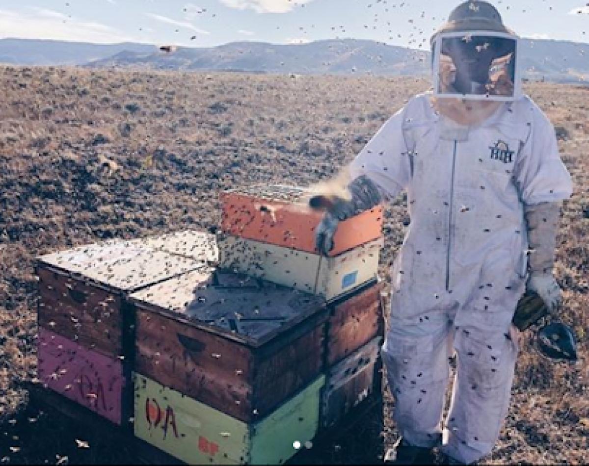 Tabernash Honey Company