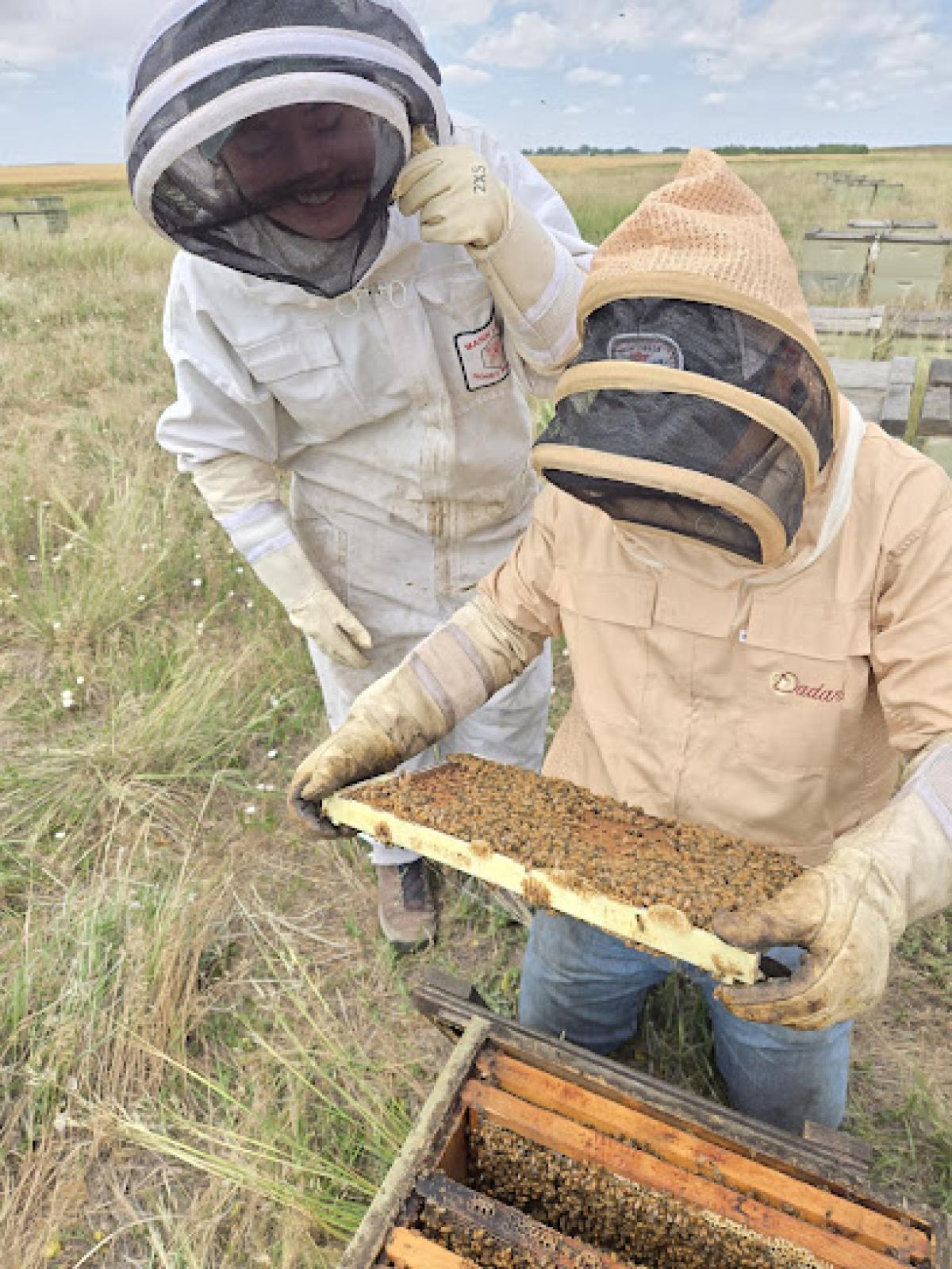 Barney Filla, Filla Honey CO LLC