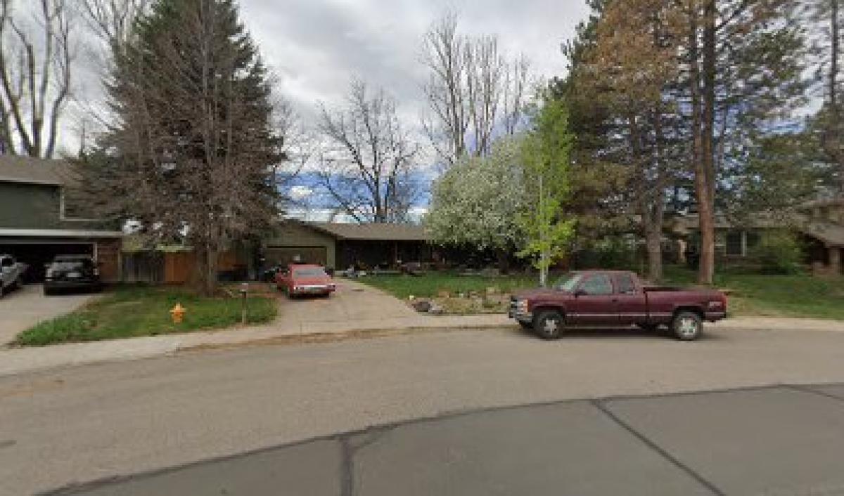 Sweetness and Light infusions