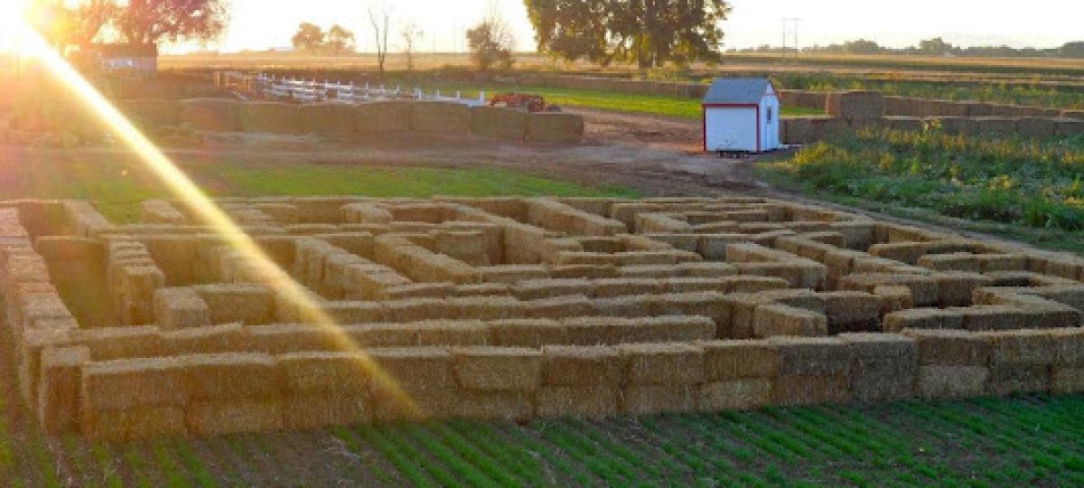 Hergenreder Pumpkin Patch