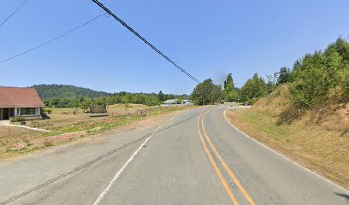 Oregon Mountain Wild Honey