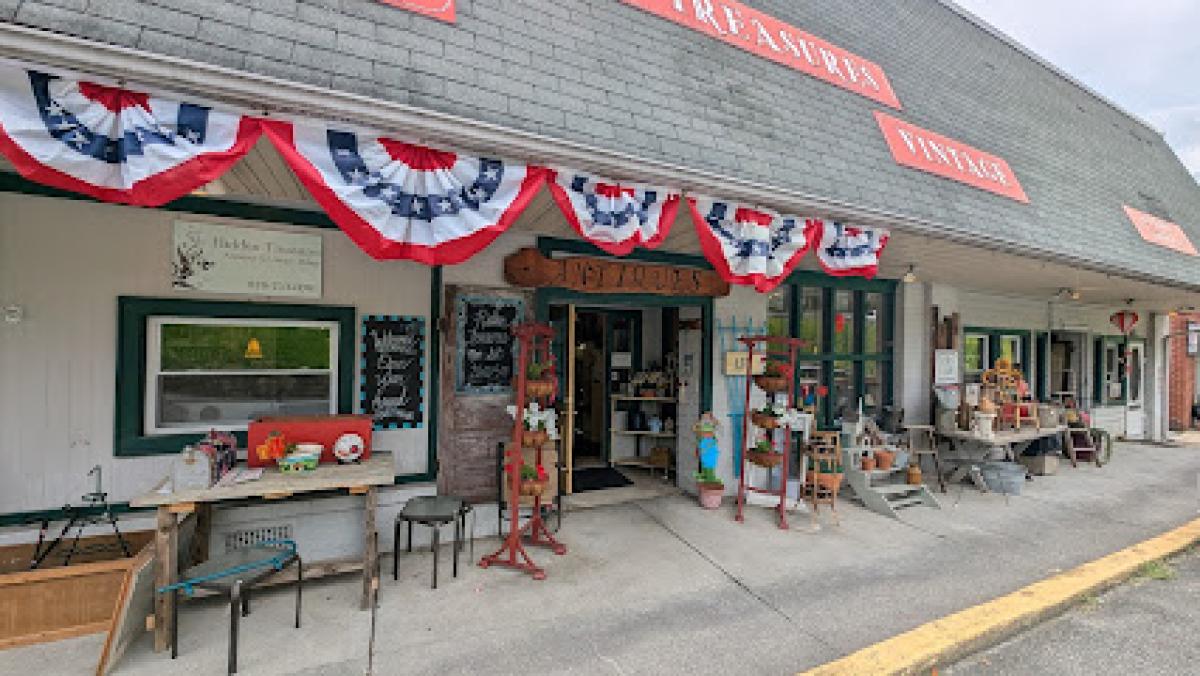 Hidden Treasure Antique