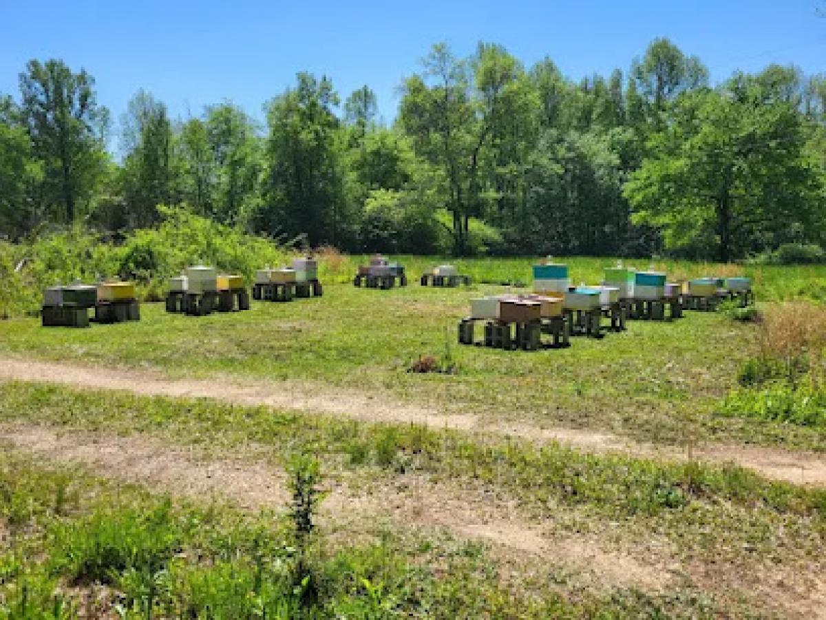 Honey Hole Industries