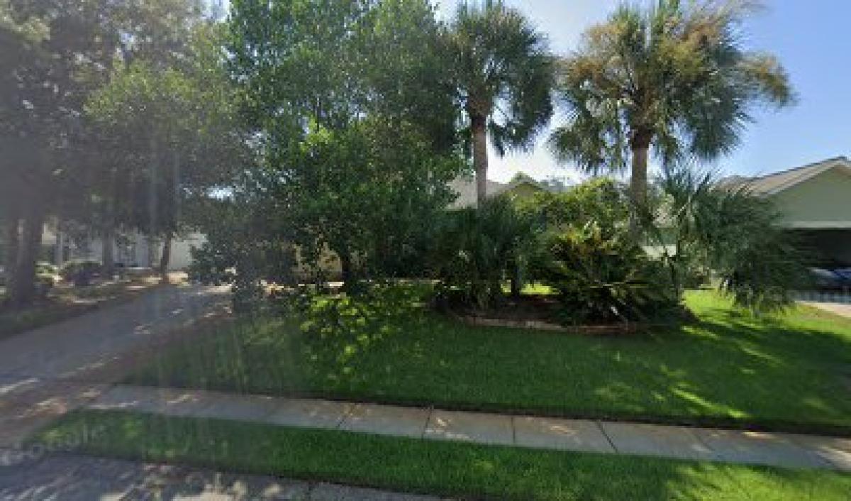 Sherri's Honey Bee Happy