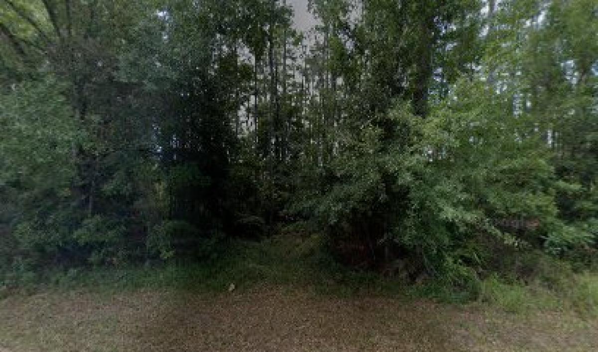 Sumthin to Buzz About Honey & 'K'omb