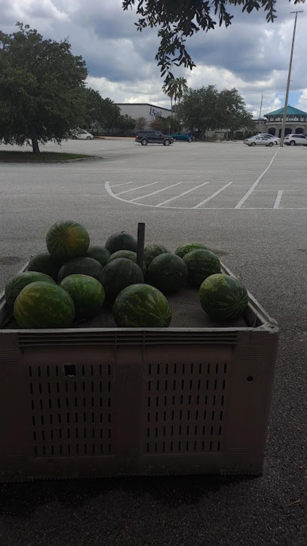 Castillo's Farm Fresh Produce