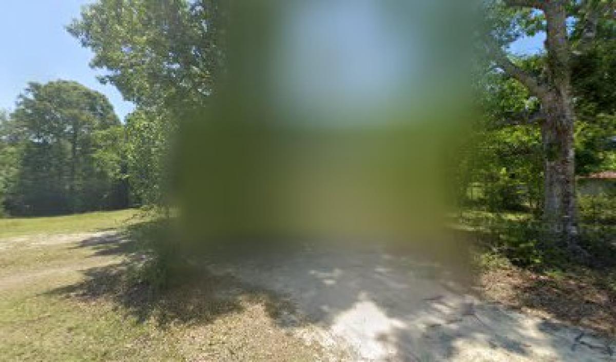 Loves Honey and Bees