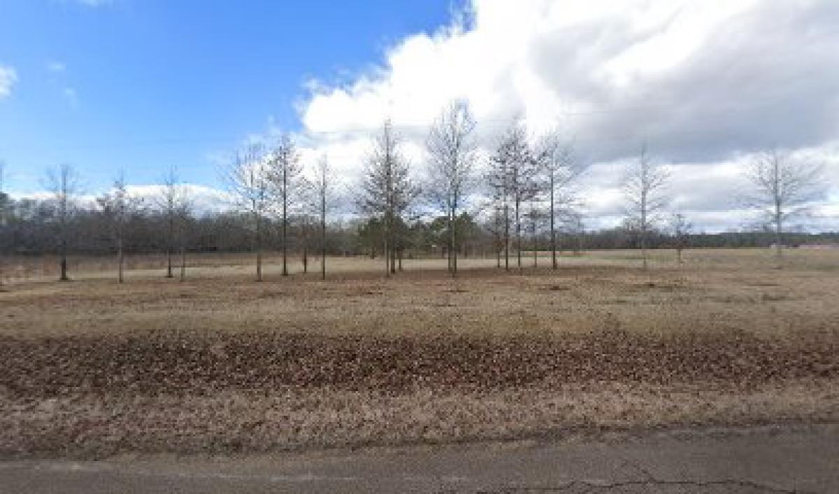 Beloved Meadows Farm