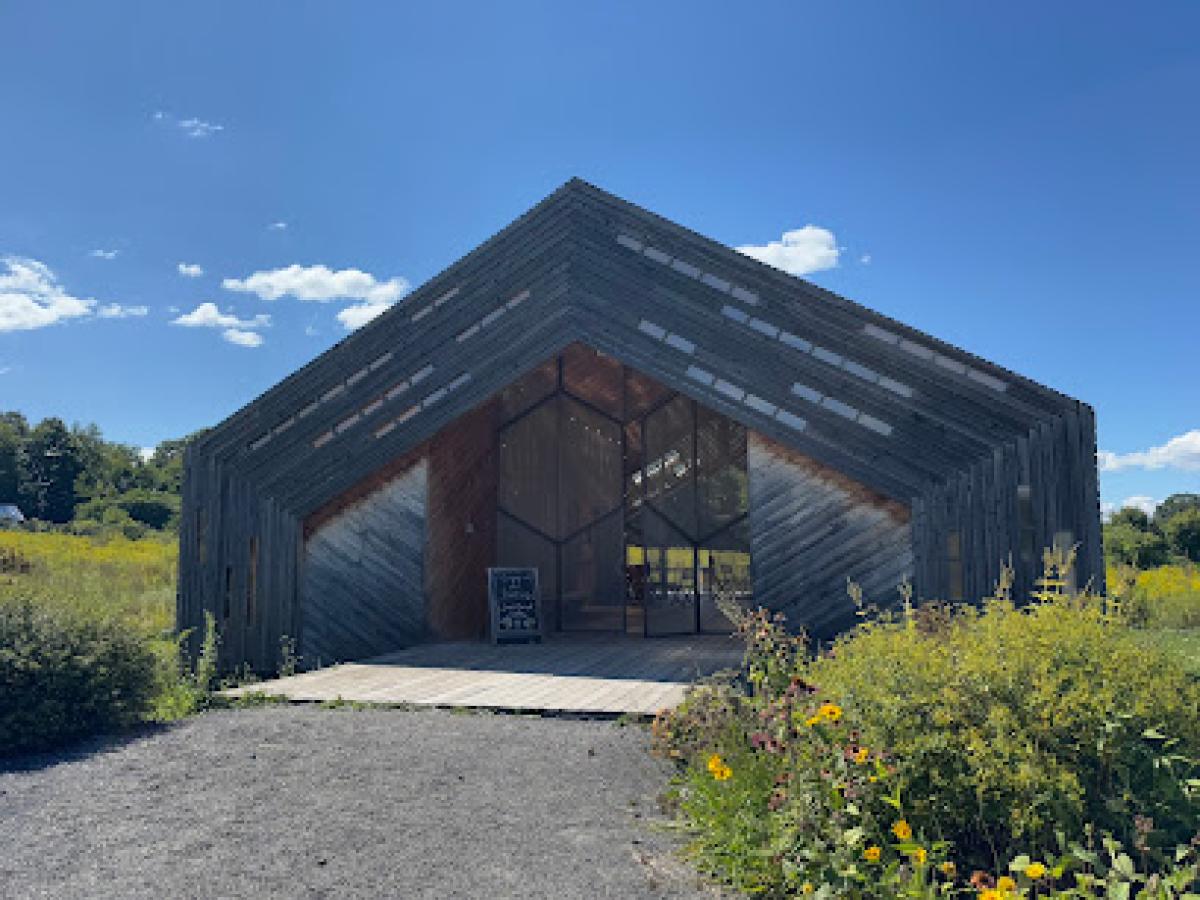 The Honeybee Embassy