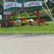 Sages Apples Orchard And Farm Market | Rt 6