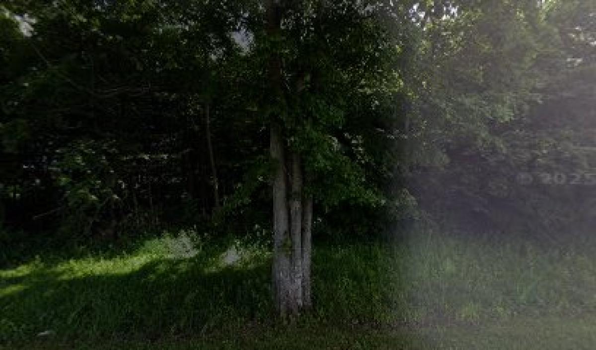 Black Walnut Farms Apiary