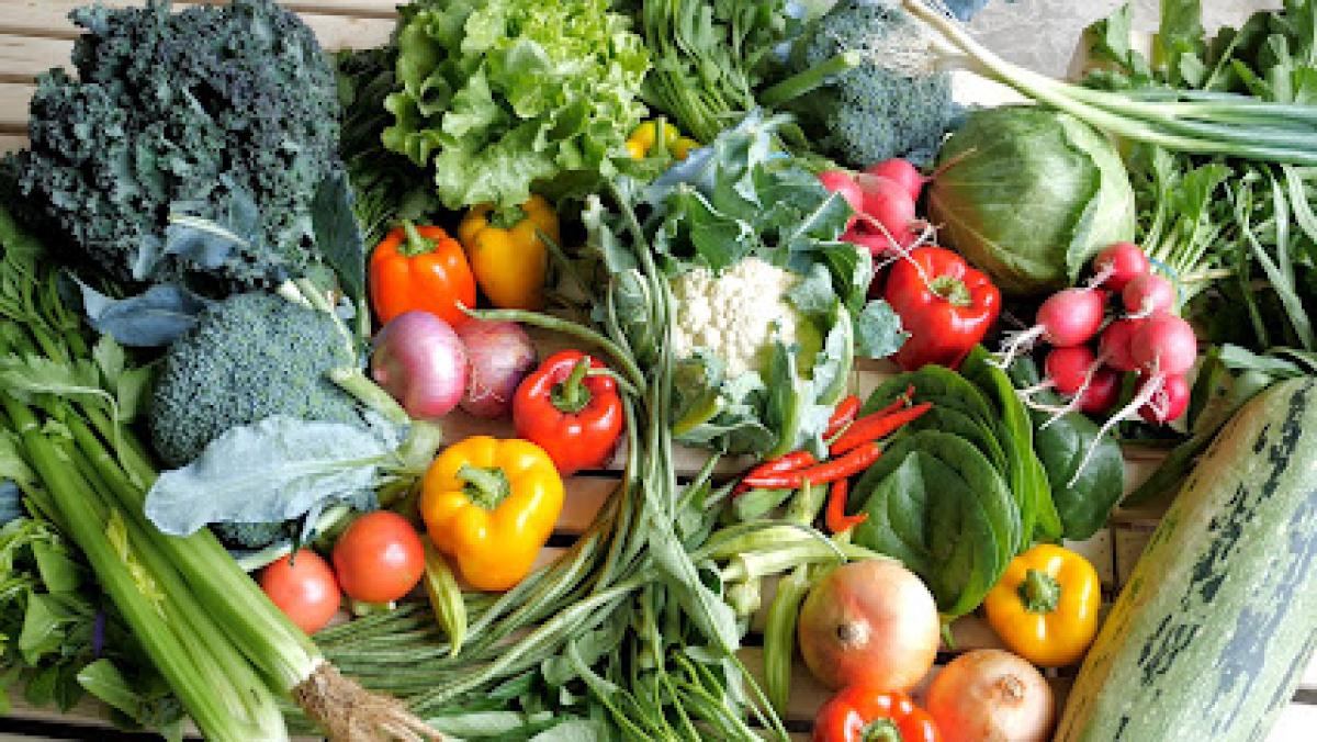 Great Joy Family Farm