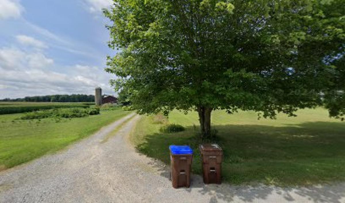 The Knee High Beekeepers