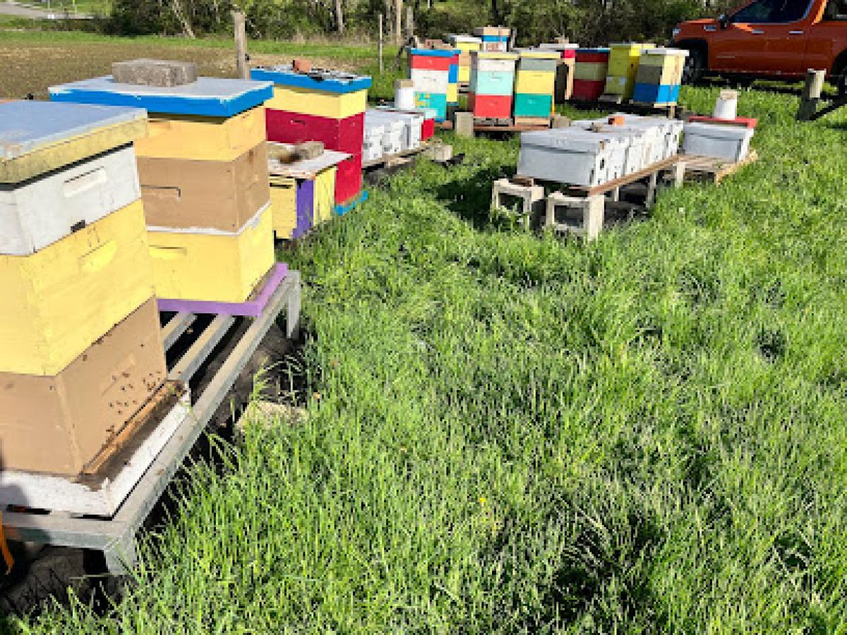 Fessides Farm & Apiary