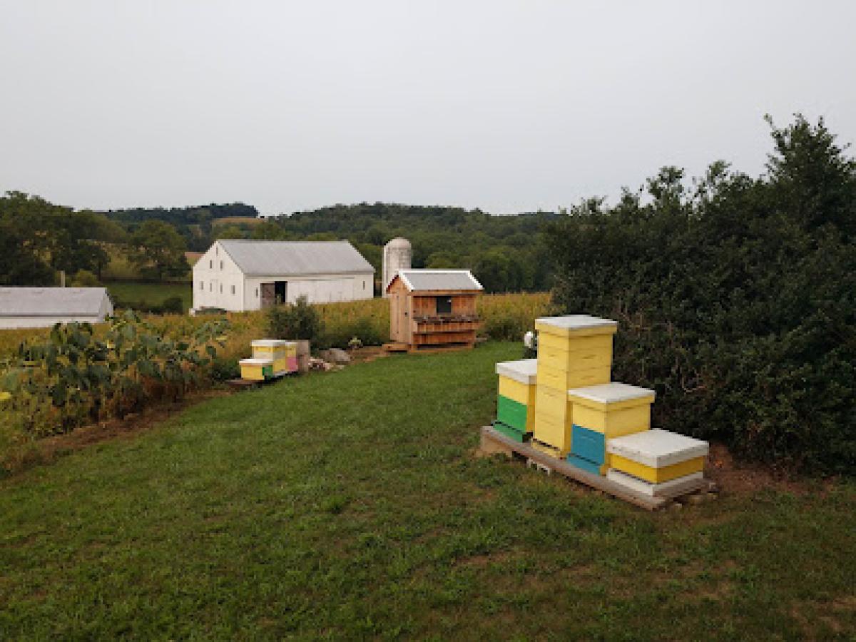 Bob's Bees Krout Farm