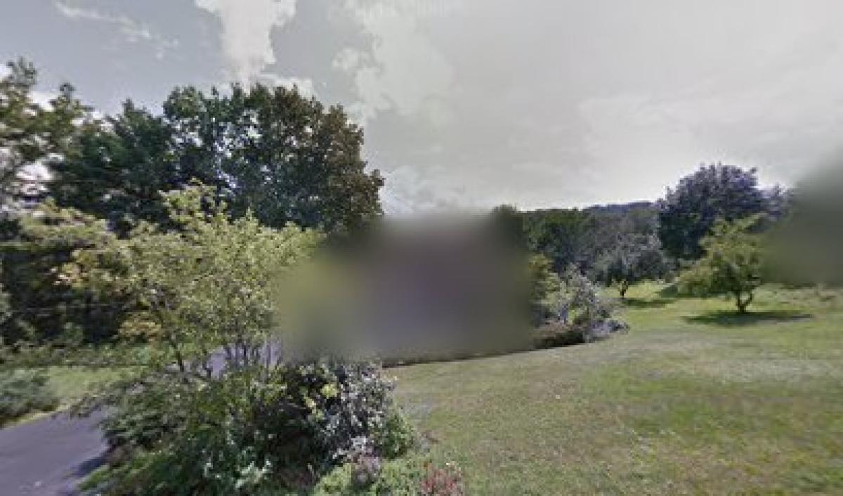 Philosopher Lane Honey