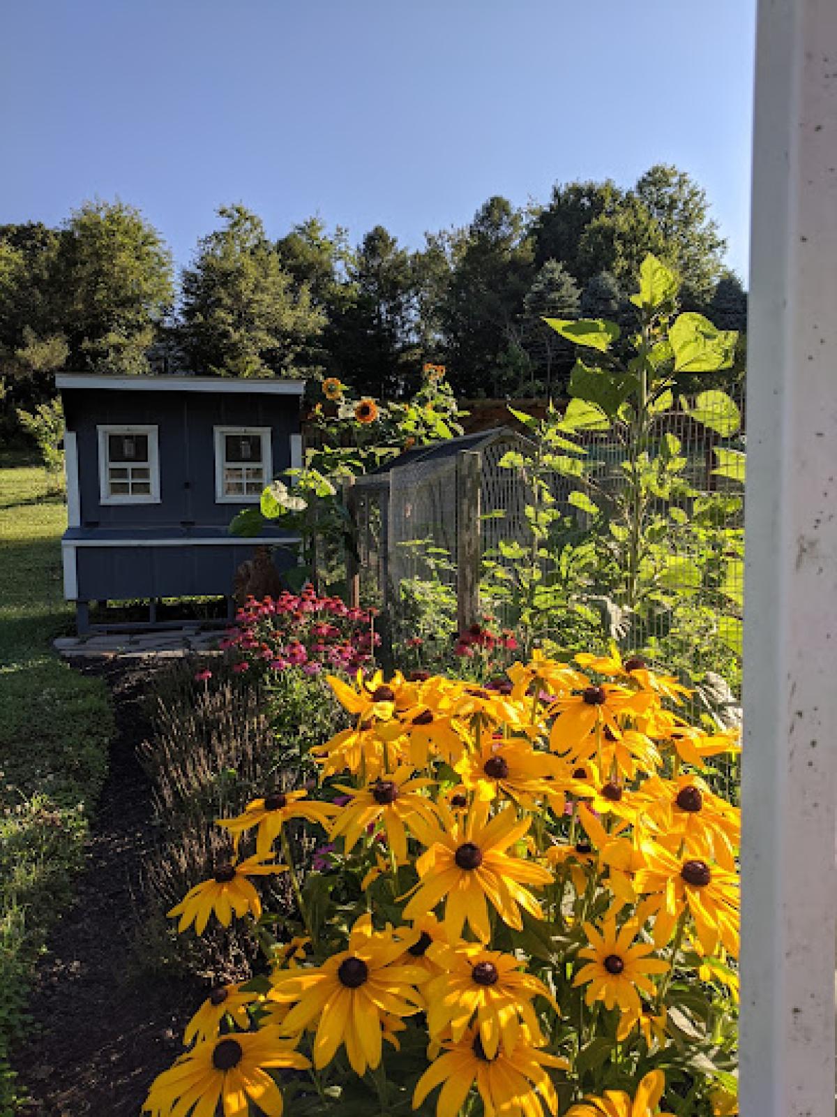 Hickory Homestead and Apiary