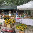Farmers Market Farm Stand