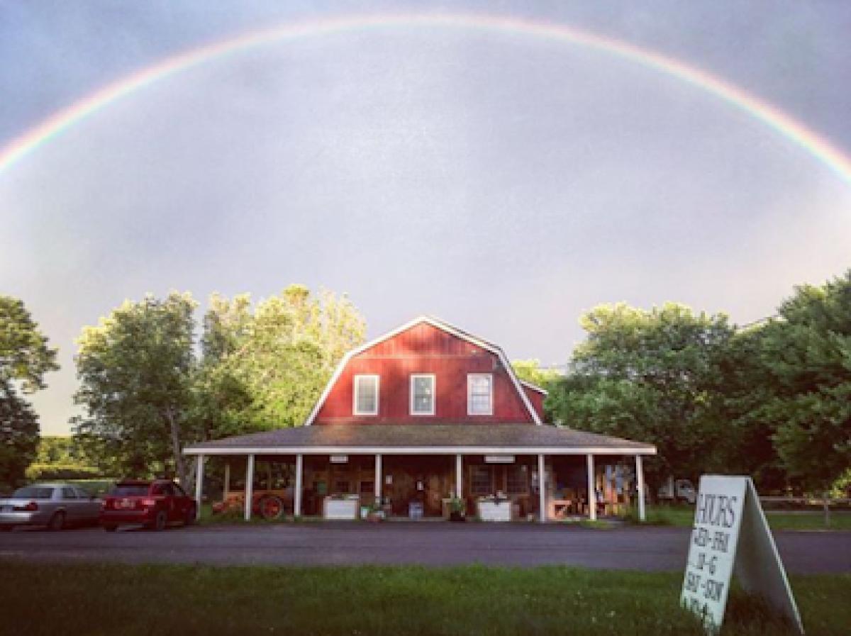 Hearty Roots Community Farm