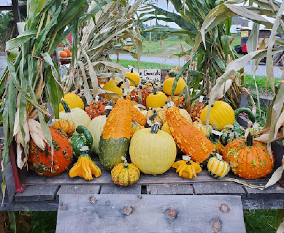 Fox Valley Vail Farms