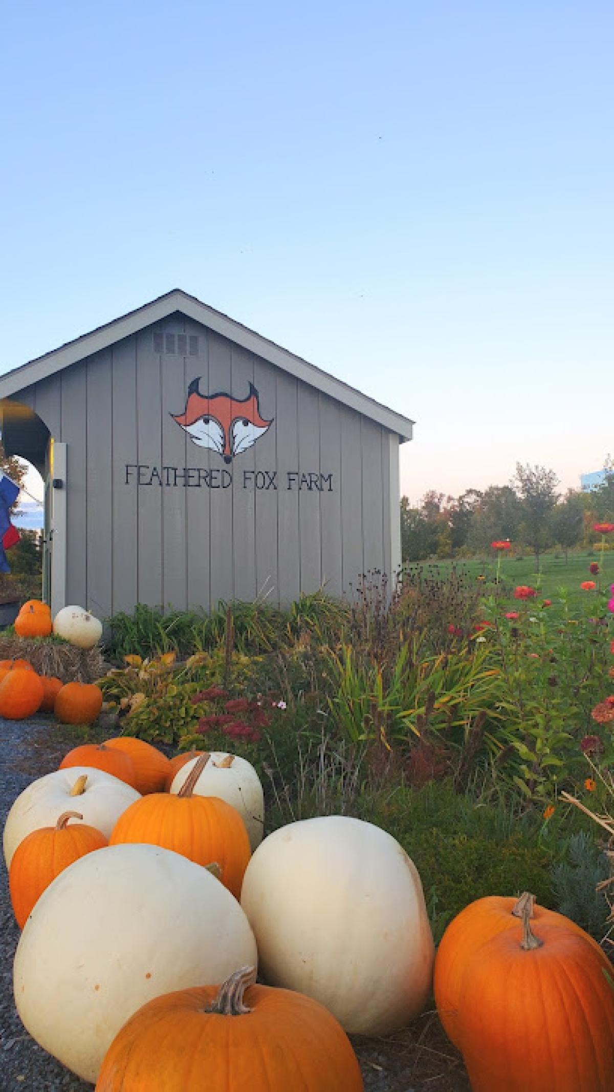 Feathered Fox Farm