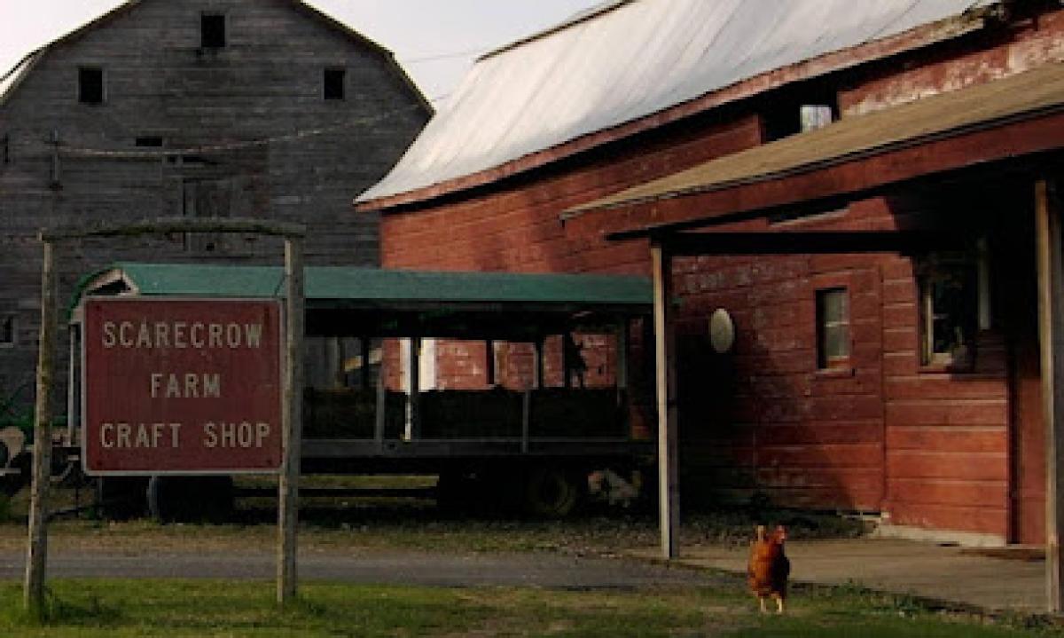 Scarecrow Farm