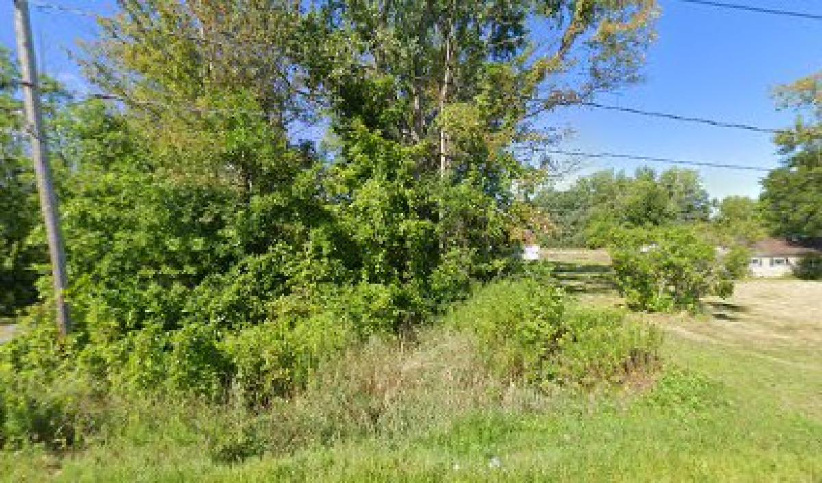 Bruce Fiegel Apiaries